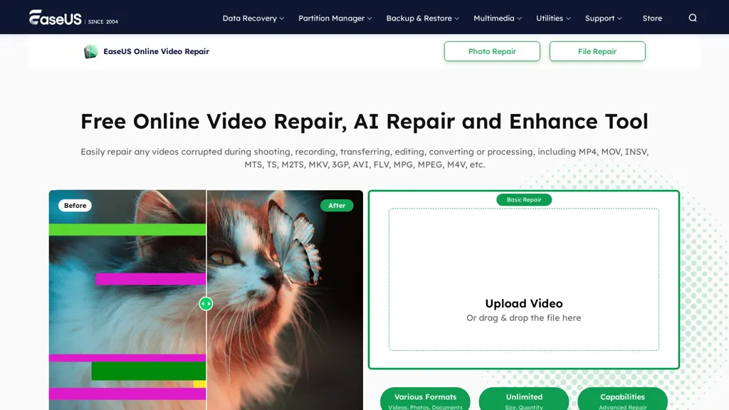 EaseUS Video Repair